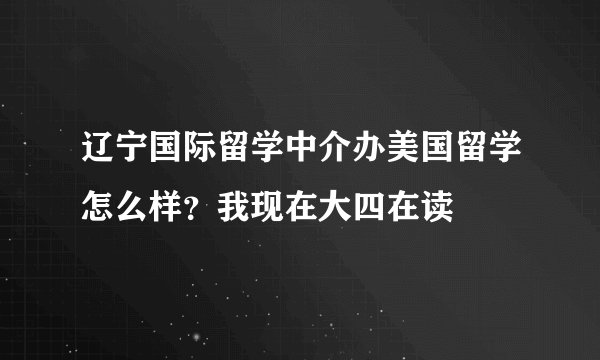 辽宁国际留学中介办美国留学怎么样？我现在大四在读