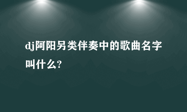 dj阿阳另类伴奏中的歌曲名字叫什么?