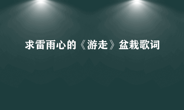 求雷雨心的《游走》盆栽歌词