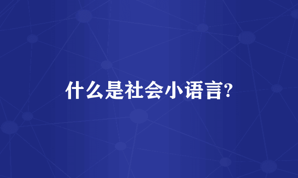 什么是社会小语言?