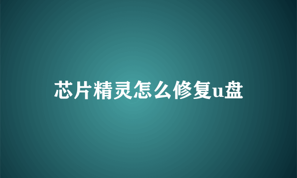 芯片精灵怎么修复u盘