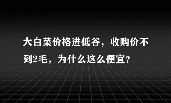 大白菜价格进低谷，收购价不到2毛，为什么这么便宜？