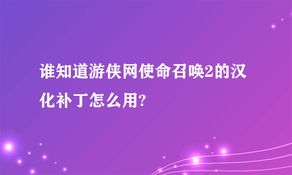 谁知道游侠网使命召唤2的汉化补丁怎么用?