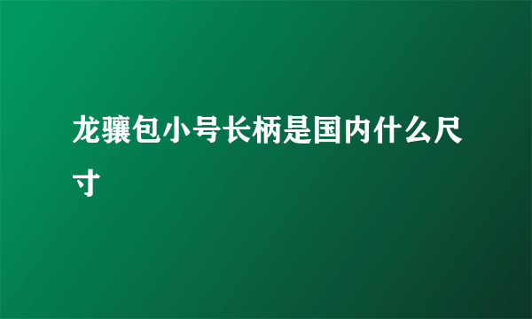 龙骧包小号长柄是国内什么尺寸