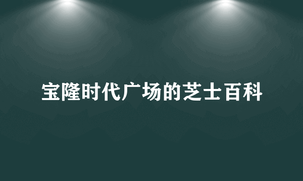 宝隆时代广场的芝士百科