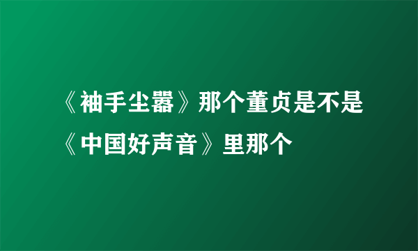 《袖手尘嚣》那个董贞是不是《中国好声音》里那个