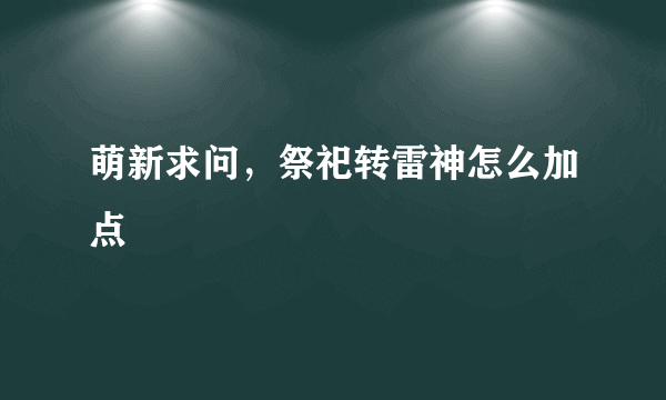 萌新求问，祭祀转雷神怎么加点