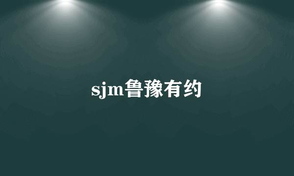 sjm鲁豫有约