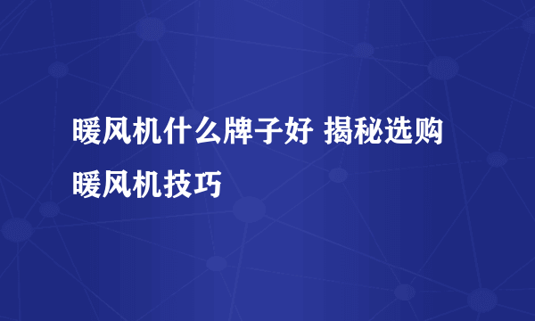 暖风机什么牌子好 揭秘选购暖风机技巧