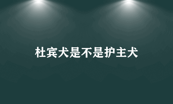 杜宾犬是不是护主犬