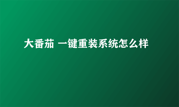 大番茄 一键重装系统怎么样