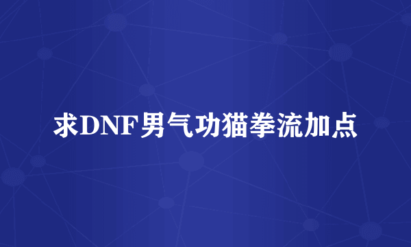 求DNF男气功猫拳流加点