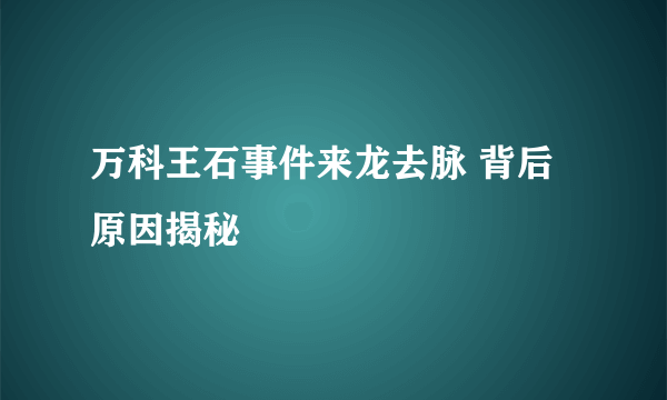 万科王石事件来龙去脉 背后原因揭秘