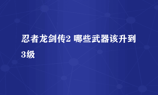 忍者龙剑传2 哪些武器该升到3级