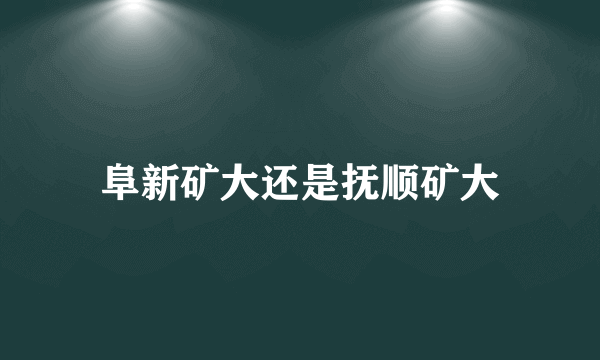 阜新矿大还是抚顺矿大