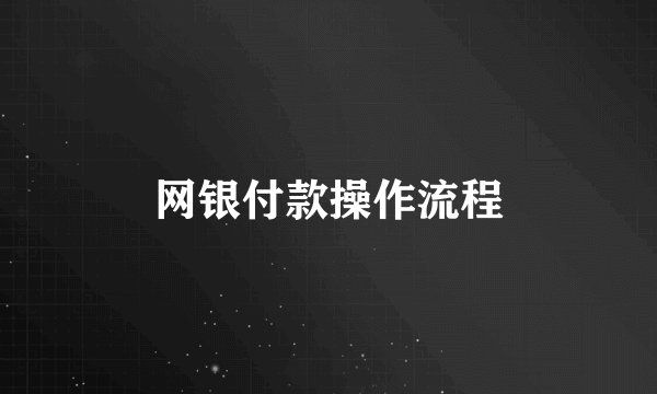 网银付款操作流程