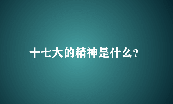 十七大的精神是什么？