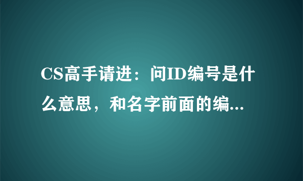 CS高手请进：问ID编号是什么意思，和名字前面的编号是一样的吗？？？？？？？？