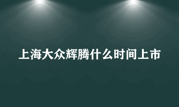 上海大众辉腾什么时间上市