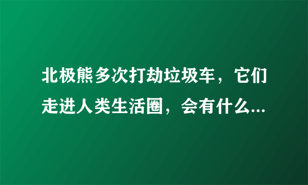 北极熊多次打劫垃圾车，它们走进人类生活圈，会有什么后果呢？