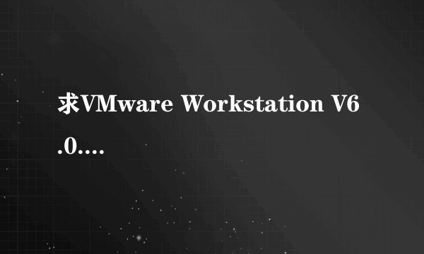 求VMware Workstation V6.0.0 build-45731序列号