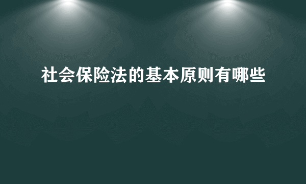 社会保险法的基本原则有哪些