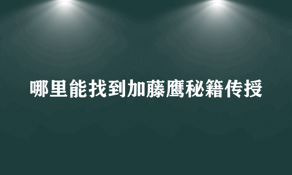 哪里能找到加藤鹰秘籍传授