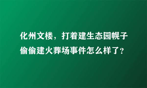 化州文楼，打着建生态园幌子偷偷建火葬场事件怎么样了？