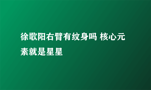 徐歌阳右臂有纹身吗 核心元素就是星星