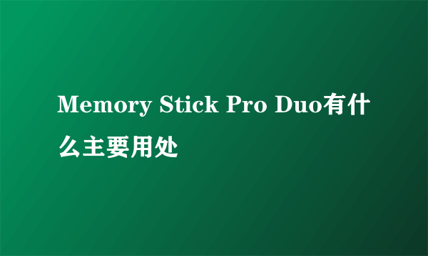 Memory Stick Pro Duo有什么主要用处