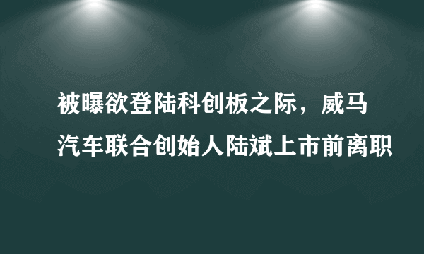 被曝欲登陆科创板之际，威马汽车联合创始人陆斌上市前离职