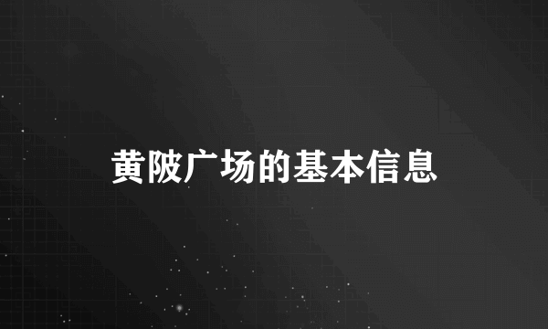 黄陂广场的基本信息