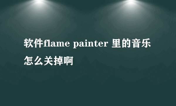 软件flame painter 里的音乐怎么关掉啊