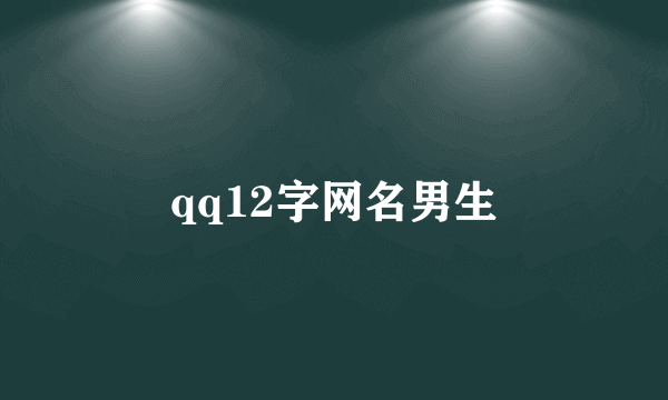 qq12字网名男生