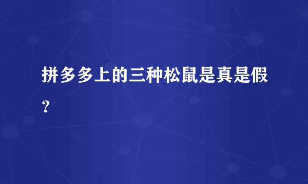 拼多多上的三种松鼠是真是假？