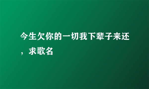 今生欠你的一切我下辈子来还，求歌名