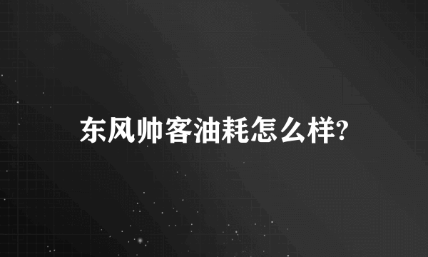 东风帅客油耗怎么样?