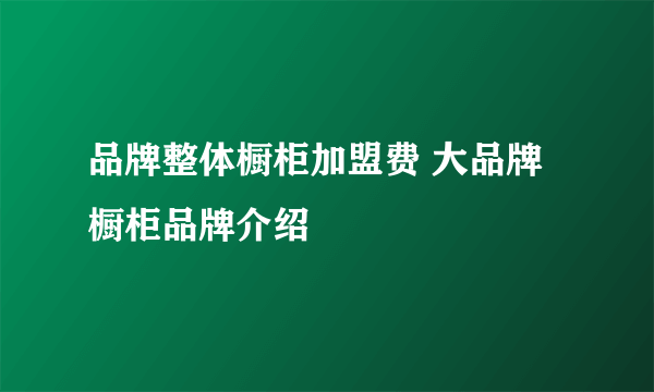 品牌整体橱柜加盟费 大品牌橱柜品牌介绍