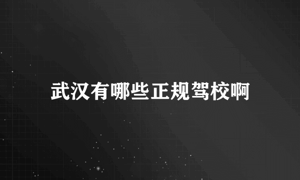 武汉有哪些正规驾校啊