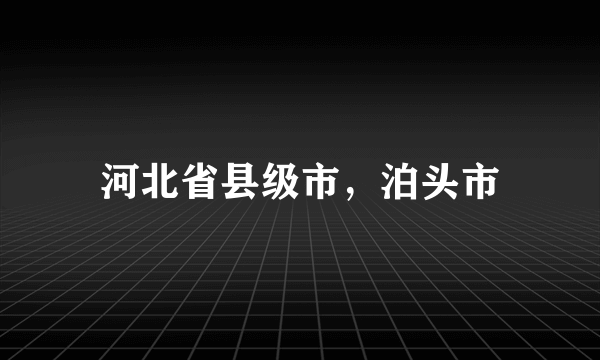 河北省县级市，泊头市