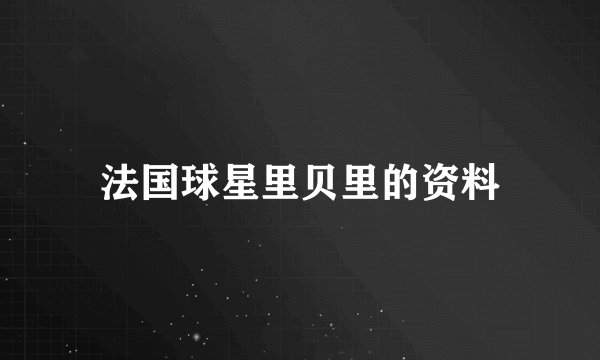 法国球星里贝里的资料