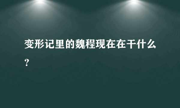 变形记里的魏程现在在干什么？