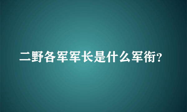 二野各军军长是什么军衔？