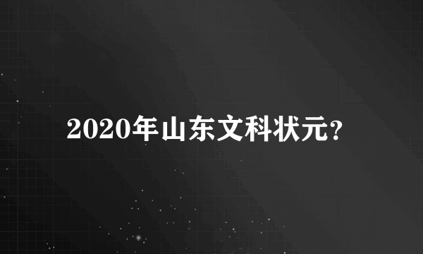 2020年山东文科状元？