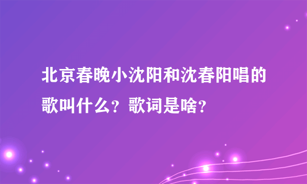 北京春晚小沈阳和沈春阳唱的歌叫什么？歌词是啥？