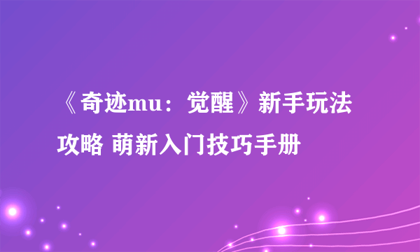 《奇迹mu：觉醒》新手玩法攻略 萌新入门技巧手册