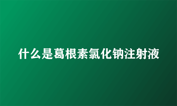 什么是葛根素氯化钠注射液