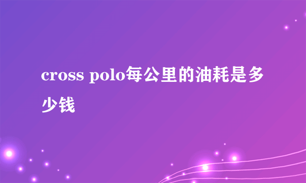 cross polo每公里的油耗是多少钱