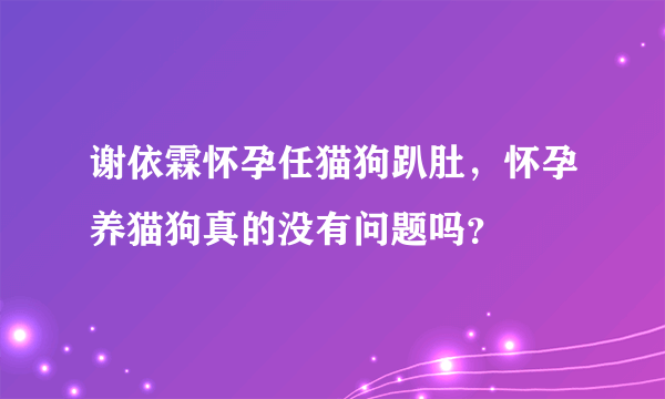 谢依霖怀孕任猫狗趴肚，怀孕养猫狗真的没有问题吗？