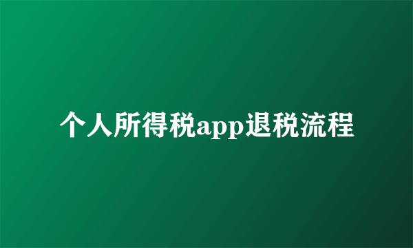 个人所得税app退税流程